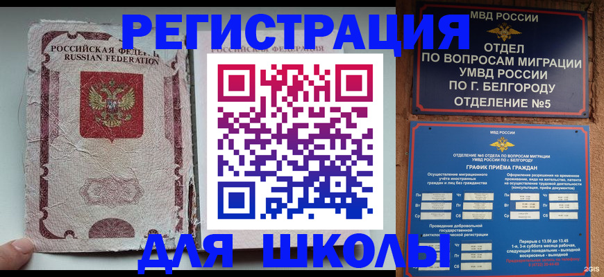 прописка гарантия в Курчалом